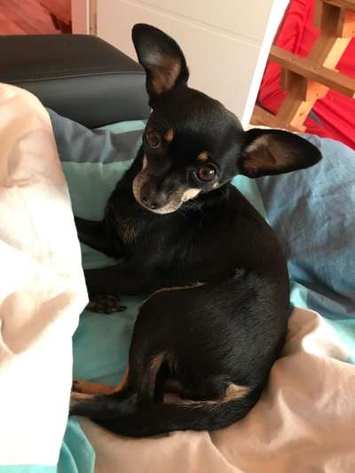 Doppelgänger gesucht !-Beitrag-Bild