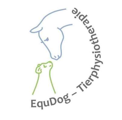 Medizinische Dienstleistungen-EquDog - Tierphysiotherapie Buchloe-Bild