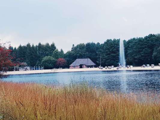 Hundeauslaufgebiet-Ottermeer/Wiesmoor-Bild