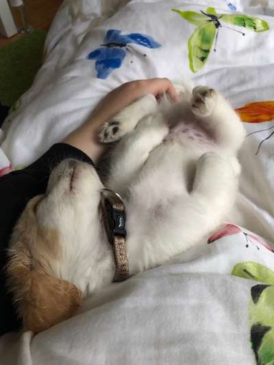 Sie werden so schnell erwachsen ...-Beitrag-Bild