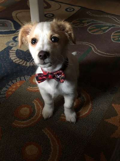 Pullis, Jacken, Hütte und alles sonstiges-Beitrag-Bild