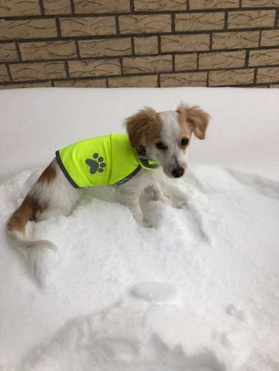 Pullis, Jacken, Hütte und alles sonstiges-Beitrag-Bild