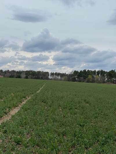 Hundeauslaufgebiet-Miersdorfer Feld-Bild