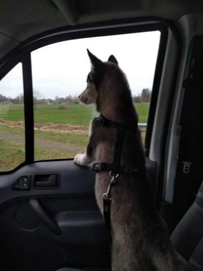 117. Fotochallenge-Beitrag-Bild