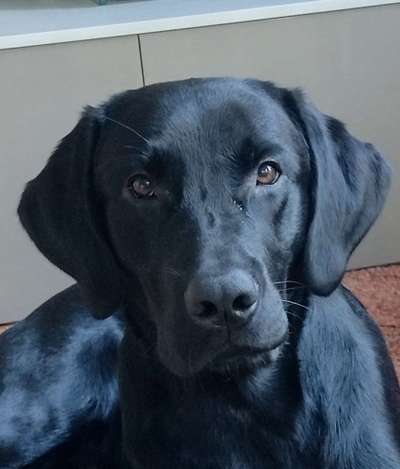 Fotochallange Nr. 57     PORTRÄT.   Beendet!!!!!!!!-Beitrag-Bild