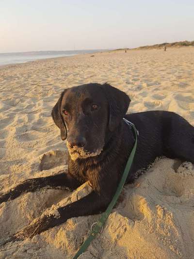 FOTOCHALLANGE NR.71 BADEFREUDE-Beitrag-Bild