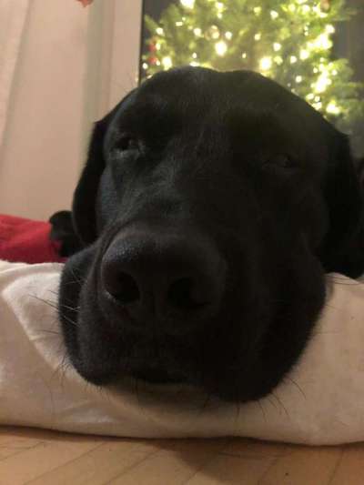 Foto Challenge Nr. 134-Beitrag-Bild