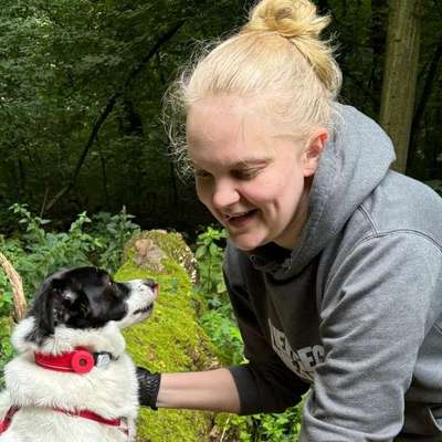 Hundetreffen-Gelegentliche oder regelmäßige gemeinsame Runden-Profilbild