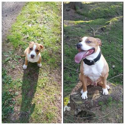 Sie werden so schnell groß!-Beitrag-Bild