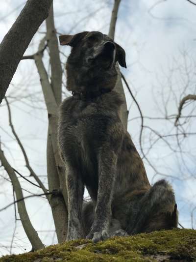 Fotowettbewerb Natur-Beitrag-Bild