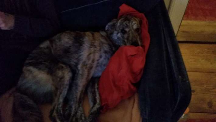 4. Lustiger Schlafplatz-Beitrag-Bild