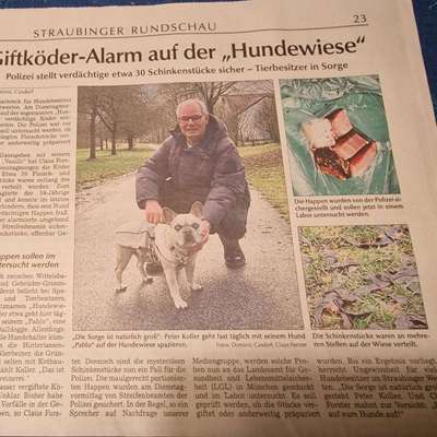Giftköder-Eventuell Giftköder-Bild