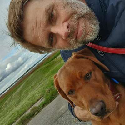 Hundetreffen-Wir suchen Spielkameraden-Profilbild