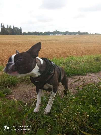 Hier ist der Spaßthread. Zum Schmunzeln und Kaputtlachen-Beitrag-Bild