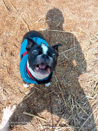 Hier ist der Spaßthread. Zum Schmunzeln und Kaputtlachen-Beitrag-Bild