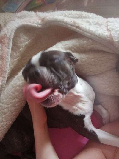 Hier ist der Spaßthread. Zum Schmunzeln und Kaputtlachen-Beitrag-Bild