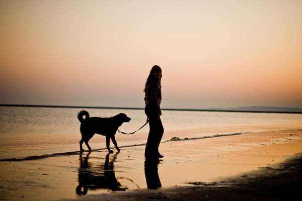 42.Fotochallenge - Eure schönen Momente beim Spaziergang-Beitrag-Bild