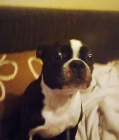 Hier ist der Spaßthread. Zum Schmunzeln und Kaputtlachen-Beitrag-Bild