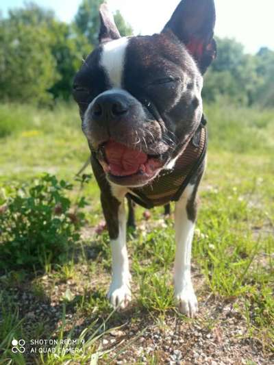 Hier ist der Spaßthread. Zum Schmunzeln und Kaputtlachen-Beitrag-Bild