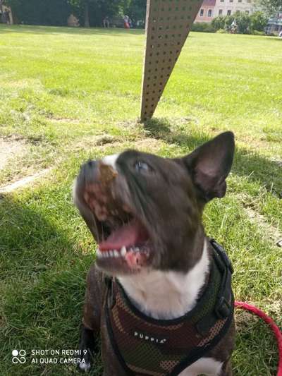 Hier ist der Spaßthread. Zum Schmunzeln und Kaputtlachen-Beitrag-Bild