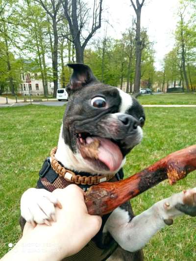 Hier ist der Spaßthread. Zum Schmunzeln und Kaputtlachen-Beitrag-Bild