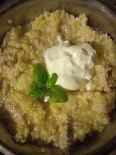 Französische Bulldoggen-Beitrag-Bild