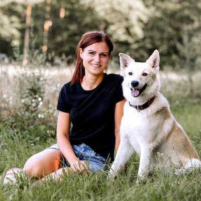 Hundeschulen-Pfotentreu Hundeschule Ebelsbach-Bild