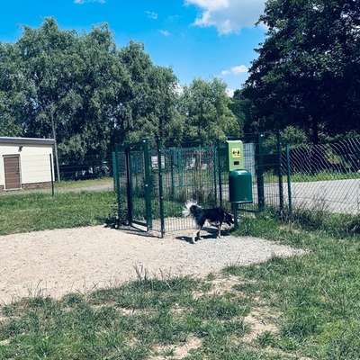 Hundeauslaufgebiet-Hundewiese Stausee Glauchau-Bild