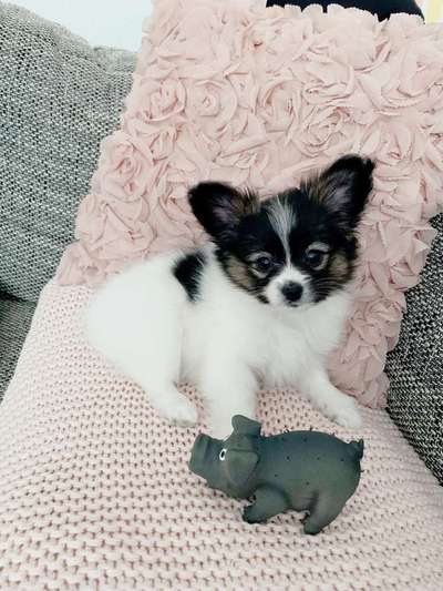 Vorher.... Nachher-Beitrag-Bild