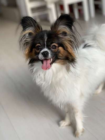 Vorher.... Nachher-Beitrag-Bild