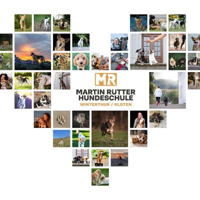 Hundeschule Martin Rütter Hundeschule Winterthur/Kloten in Kyburg  – Dogorama