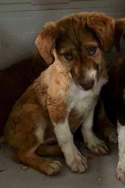 Foto Challenge 82-Beitrag-Bild