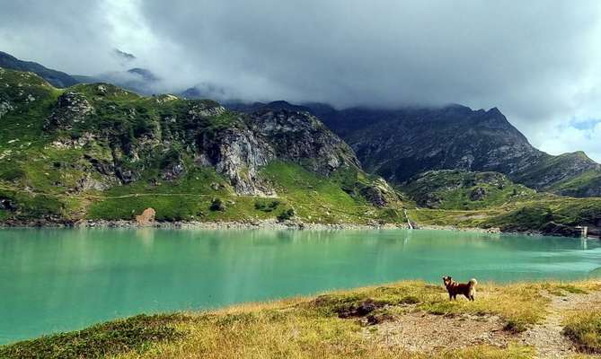 Fotochallenge Nr.100 Urlaubsimpressionen-Beitrag-Bild