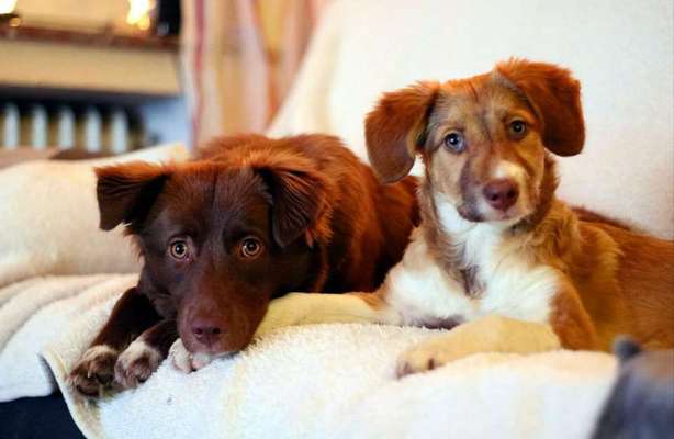 Fotochallenge Nr. 67: Euer Lieblingsbild-Beitrag-Bild