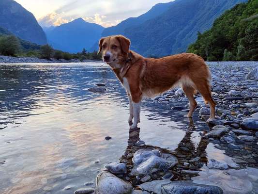 Fotochallenge Nr 107-Beitrag-Bild