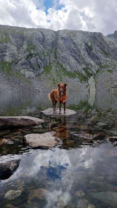 Fotochallenge Nr 107-Beitrag-Bild