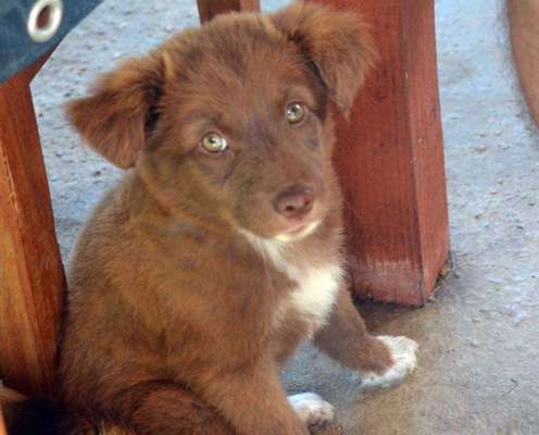 Foto Challenge 82-Beitrag-Bild