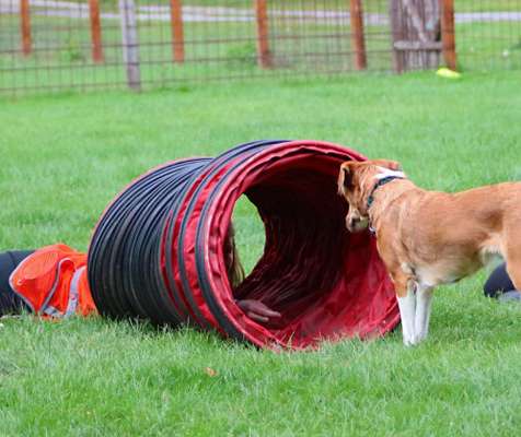 Fotochallenge 108: Starkes Team-Beitrag-Bild