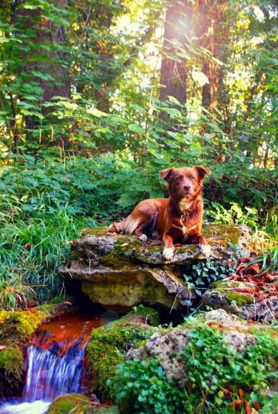 Foto Challenge Nr. 79-Beitrag-Bild