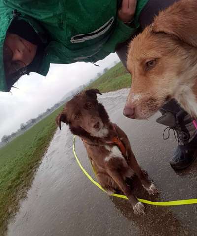 Dogorama Photo Challenge - Selfie Time!-Beitrag-Bild