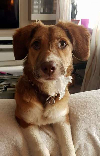 Fotochallenge 113: Auf frsicher Tat ertappt-Beitrag-Bild