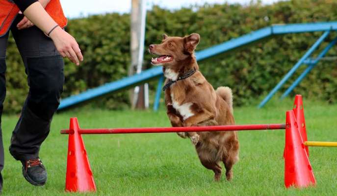 Fotochallenge 108: Starkes Team-Beitrag-Bild