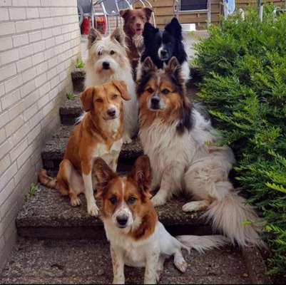 Fotochallenge 69-Beitrag-Bild