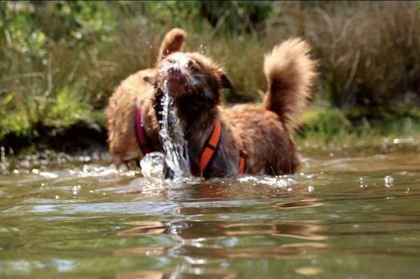 Fotochallenge Nr.105  Glücksmomente-Beitrag-Bild