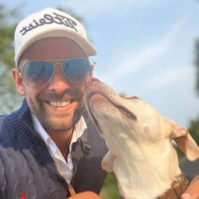 Hundetreffen-Entspannte Gassirunde