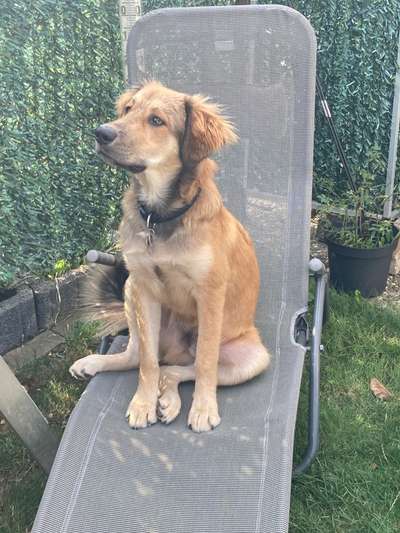 Ist das ein...?-Beitrag-Bild