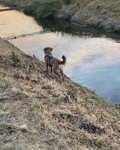 Ist das ein...?-Beitrag-Bild