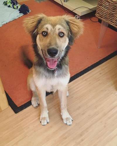 Ist das ein...?-Beitrag-Bild