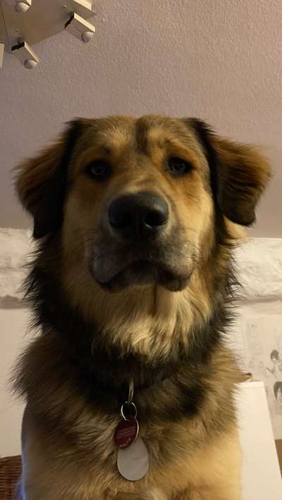 23. Handy Foto-Challenge-Beitrag-Bild