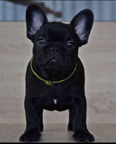 Foto Challenge 3-Beitrag-Bild